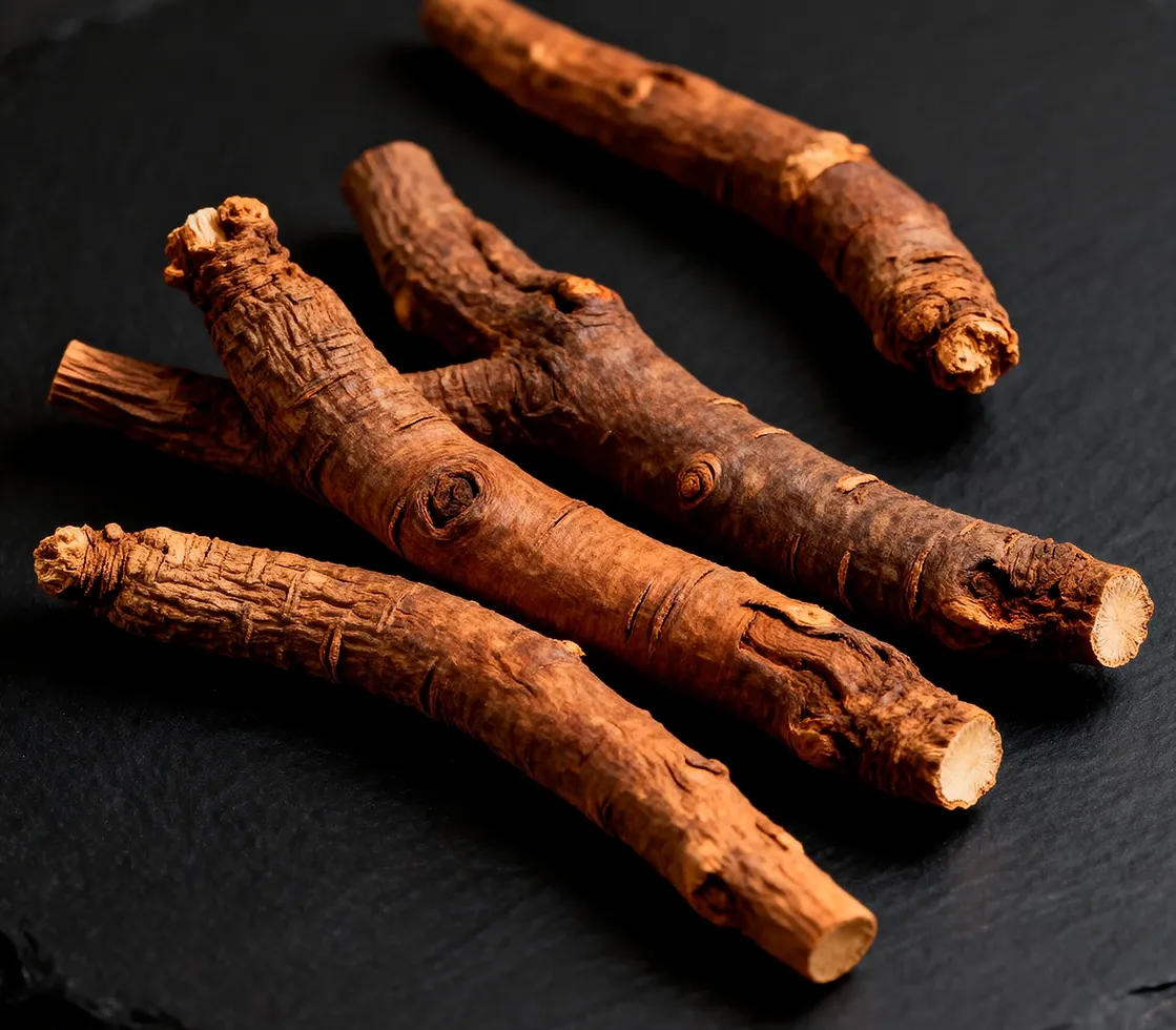 Tongkat Ali — Malaysian ginseng plant